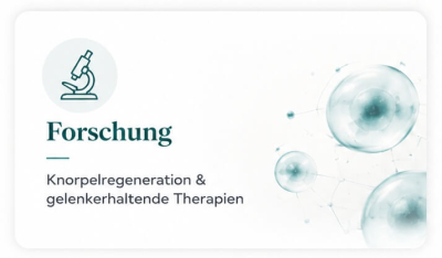 Grafik zu Forschungsschwerpunkten im Bereich Knorpelregeneration und gelenkerhaltende Therapien